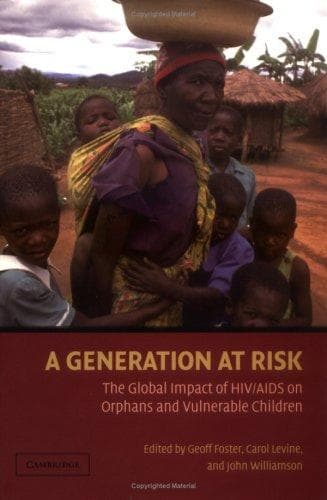 Tapa de A Generation at Risk