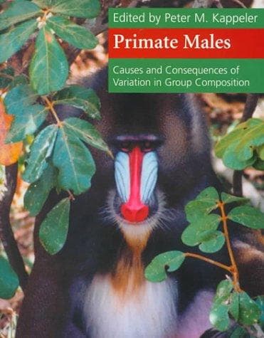 Tapa de Primate Males