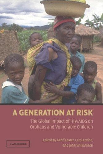 Tapa de A Generation at Risk