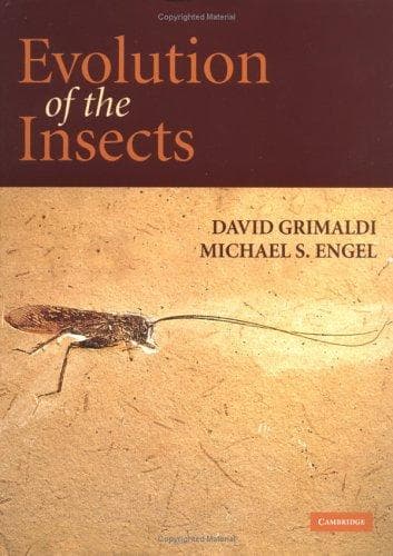 Tapa de Evolution of the insects