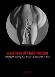 Tapa de A gallery of fluid motion