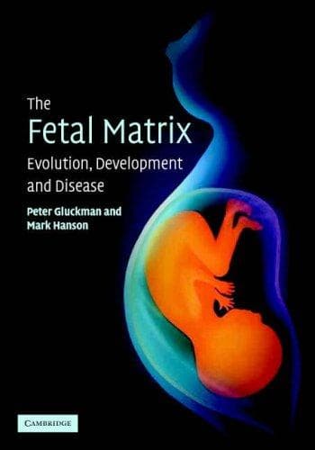 Tapa de The fetal matrix