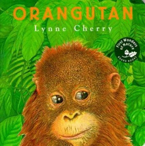 Tapa de Orangutan