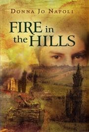 Tapa de Fire In The Hills