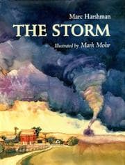 Tapa de The storm