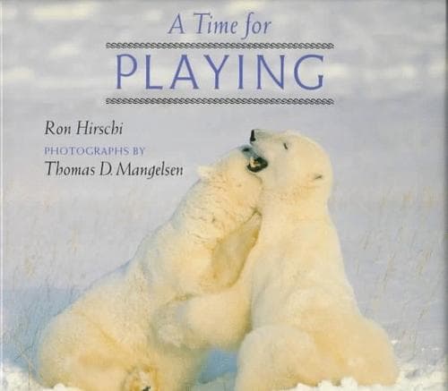 Tapa de A time for playing