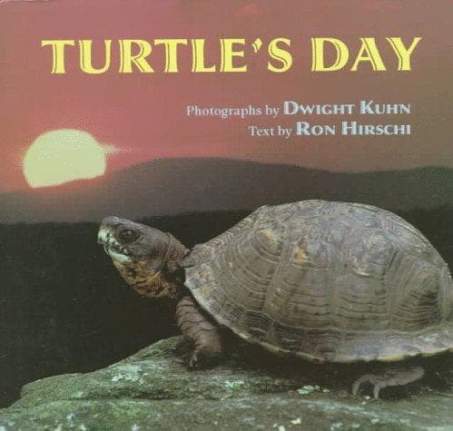 Tapa de Turtle's Day