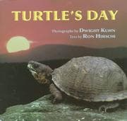 Tapa de Turtle's day