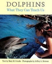 Tapa de Dolphins