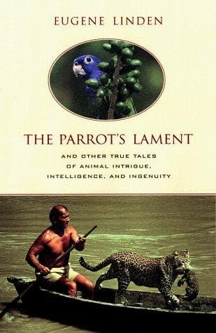 Tapa de The parrot's lament