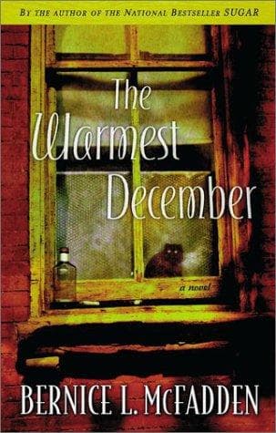 Tapa de The warmest December