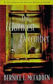 Tapa de The warmest December