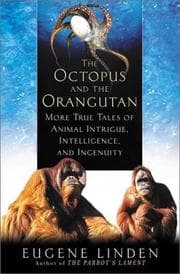 Tapa de The Octopus and the Orangutan
