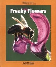 Tapa de Freaky Flowers