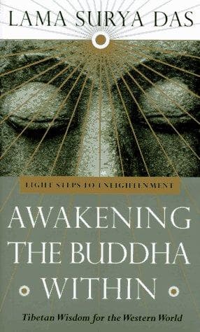 Tapa de Awakening the Buddha within