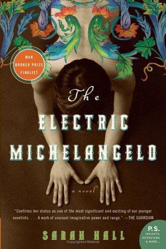 Tapa de The electric Michelangelo