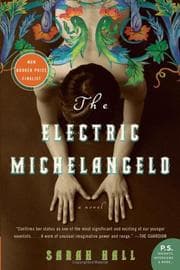Tapa de The electric Michelangelo