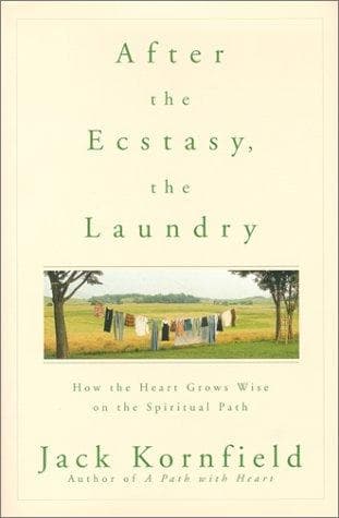 Tapa de After the Ecstasy, the Laundry