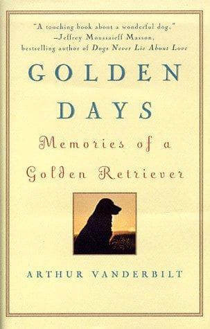 Tapa de Golden days