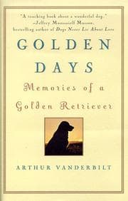 Tapa de Golden days