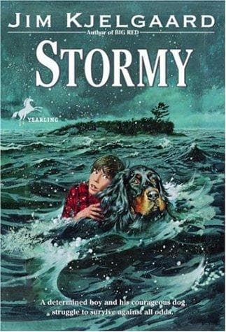 Tapa de Stormy
