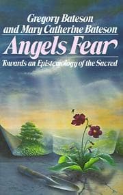 Tapa de Angels fear