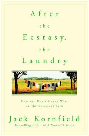 Tapa de After the Ecstasy, the Laundry