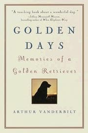 Tapa de Golden Days