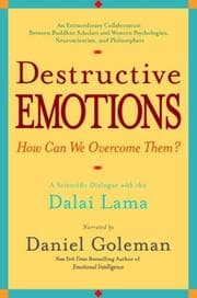 Tapa de Destructive emotions