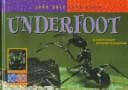 Tapa de Underfoot
