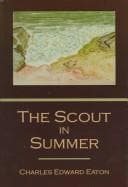 Tapa de The scout in summer