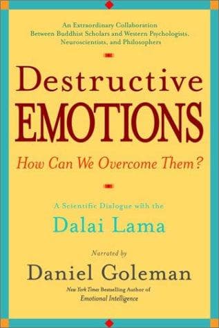 Tapa de Destructive Emotions
