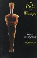 Tapa de The pelt of wasps