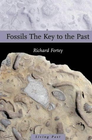 Tapa de Fossils