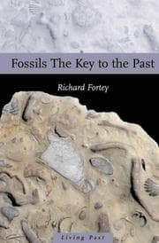 Tapa de Fossils