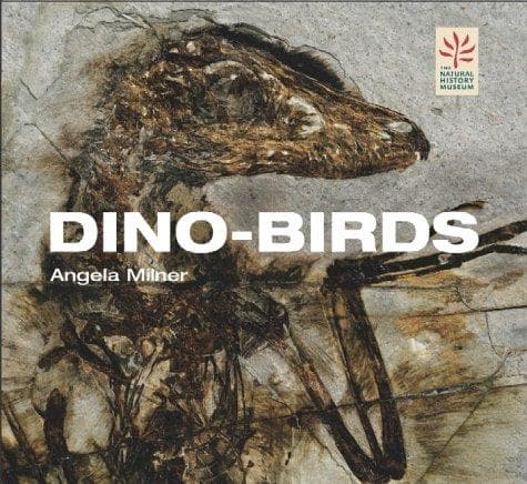 Tapa de Dino-birds