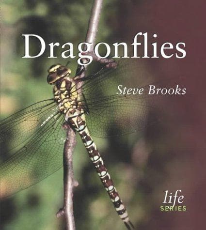 Tapa de Dragonflies (Life)