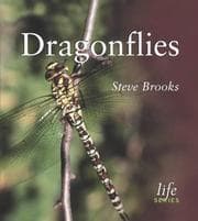 Tapa de Dragonflies (Life)