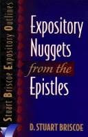 Tapa de Expository nuggets from the Epistles