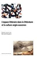 Tapa de L'espace littéraire dans la littérature et la culture anglo-saxonnes