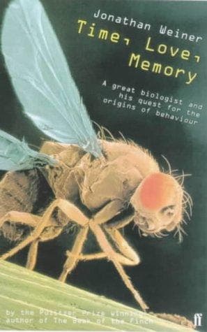 Tapa de Time, Love, Memory