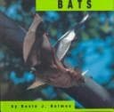 Tapa de Bats