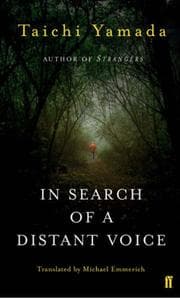 Tapa de In Search of a Distant Voice