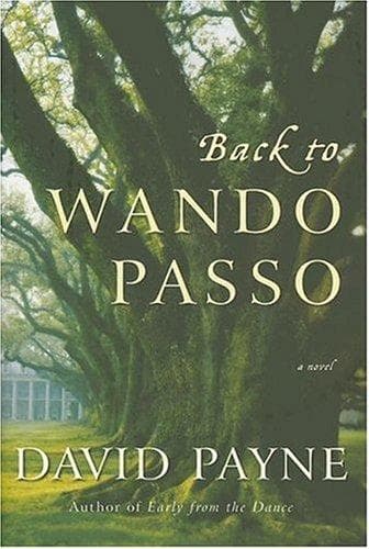 Tapa de Wando Passo
