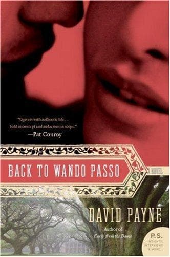 Tapa de Back to Wando Passo