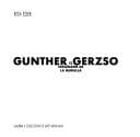 Tapa de Gunther Gerzso