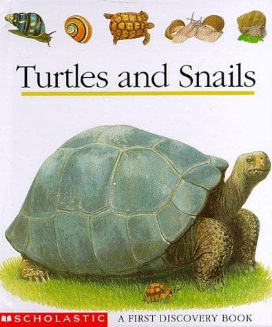 Tapa de Turtles and snails