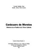 Tapa de Carácuaro de Morelos