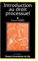 Tapa de Introduction au droit processuel