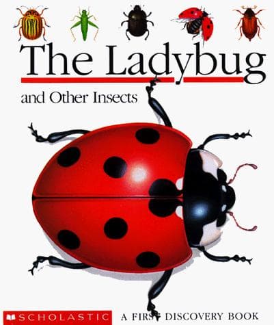 Tapa de The ladybug and other insects